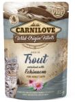 CARNILOVE Wild-Origin Fillets Adult trout 85 g