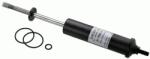 SACHS Amortizor, suspensie cabina SACHS 290 203 (290 203) - automobilus