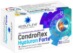 Helcor Condroflex Hyaluron Forte - 30 cpr