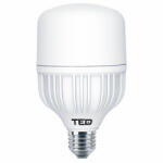 TED Electric Bec LED E27 230V 30W 6400K T100 HighPower 2450lm TED001085 (A0059767)
