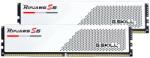 G.SKILL Ripjaws S5 32GB (2x16GB) DDR5 5600MHz F5-5600J4040C16GX2-RS5W