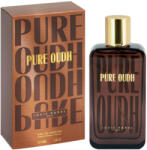 Louis Varel Pure Oudh EDP 100 ml Parfum