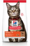 Hill's Science Plan Adult lamb 3 kg