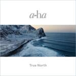 Sony A-ha - True North (2lp, 180g) (2d7208)