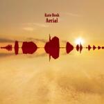 WARNER Kate Bush - Aerial (2lp, Reissue, Remastered) (0190295593827)