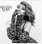 UNIVERSAL Shania Twain - Now (2lp, 180g) (5770527)