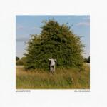 BERTUS Grandbrothers - All The Unknown (2lp) (1a5160)