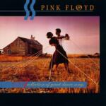 WARNER PINK FLOYD - A COLLECTION OF GREAT DANCE SONGS (1LP, 180G ) utolsó példány! (0190295996901)