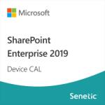 Microsoft SharePoint Enterprise 2019 Device CAL (DG7GMGF0F4LV-0003)