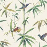 Noordwand ekrü kolibri és bambusz tapéta G56412