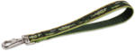 Lupine Pet rövidpóráz/ oktató szár (2, 5 cm széles Brook Trout ) (WLF00060)
