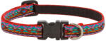 Lupine Pet nyakörv (El Paso 1, 25 cm széles 26-40 cm) (CAT91535)
