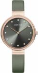 Bering 12034-667