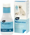  Viyo Viyo Recuperation Dog, 150 ml