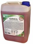 Delta Clean Mosogatószer 5 liter kézi fertőtlenítő hatással Karneol (43826) - web24