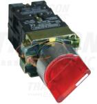 TRACON NYGBK2465PT Tokozott világítókaros kapcsoló, piros, LED, kétállású 1×NC+1×NO, 3A/400V AC, IP44 (NYGBK2465PT)