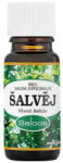 Saloos SALOOS zsálya illóolaj Kiszerelés: 10 ml