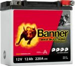 Banner Bike Bull Professional 12Ah (514 21)