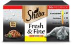 Sheba Fresh & Fine in sauce 50x50 g