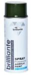 Brilliante Spray vopsea auto Brilliante Verde Masliniu 400ml