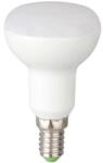  Set 5 x Bec LED Spot R39 4W E14 5000K Bec LED Spot R39 4W E14 5000K Total Green