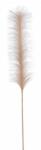 Bizzotto Set 3 pene roz pudrat Infinity 6x90h (0932736)