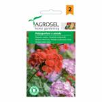 AGROSEL Seminte flori Muscate melanj Agrosel 0.08 g (HCTA00951)