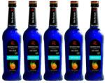 Riemerschmid Set 5 x Sirop Blue Curacao Riemerschmid, 0.7 l