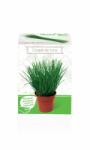 Yurta Kit Plante Aromatice Ceapa de tuns (HCTA01826)