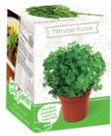 Yurta Kit Plante Aromatice Patrunjel Frunza Neteda (HCTA01834)