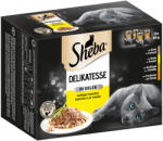 Sheba Sheba 96 x 85 g Varietăți Pliculețe la preț special! - Delicatesă în gelatină cu varietate de pasăre