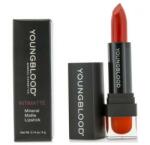 Youngblood Mineral Cosmetics Ruj mat - Youngblood Intimate Mineral Matte Lipstick Charm