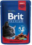 Brit Premium Cat beef 24x100 g