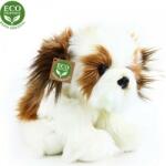 Rappa Shih Tzu 21 cm