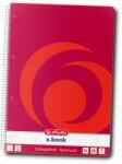 Herlitz Caiet cu spira A4, 80 file, matematica, X. Book, Herlitz HZ0306456 (306456)