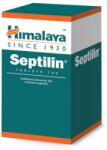 Himalaya Septilin 100 tabs - proteinemag