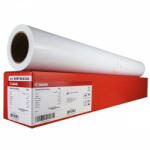  Canon 1107C Photo paper Pro Platinum 610mm x 30, 5m - 300g (97004464) (97004464)