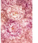 Ideal Lux Fototapet bujori roz suavi Vlies (XXL2-009)