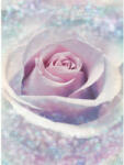 Ideal Lux Fototapet trandafir delicat vlies (XXL2-020)