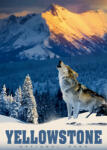Alipson Puzzle - Puzzle Yellowstone Wolf - 500 piese Puzzle