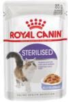 Royal Canin Sterilised jelly 12x85 g