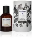 Blue Scents Bergamot&Amber Wood EDT 100 ml Parfum