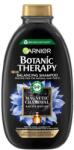 Garnier Botanic Therapy Magnetic Charcoal & Black Seed Oil șampon 250 ml pentru femei