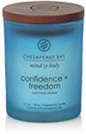 Chesapeake Bay Confidence + Freedom lumânări parfumate 96 g