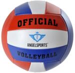 Engelhart Minge de volei Angel Sports, marimea 5 (724009)