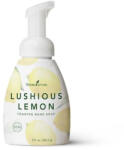 Young Living Sapun lichid pentru maini (Lushious Lemon Foaming Hand Soap)