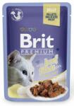 Brit Premium Adult with beef fillets in jelly 24x85 g