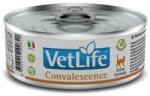 Vet Life Convalescence 85 g