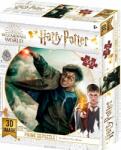 Sparkys Puzzle 3D Harry Potter-Harry Potter 300 buc (SK46PR-33006) Puzzle