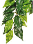 Hagen Exo Terra Ficus silk small - növény terráriumba, 45cm